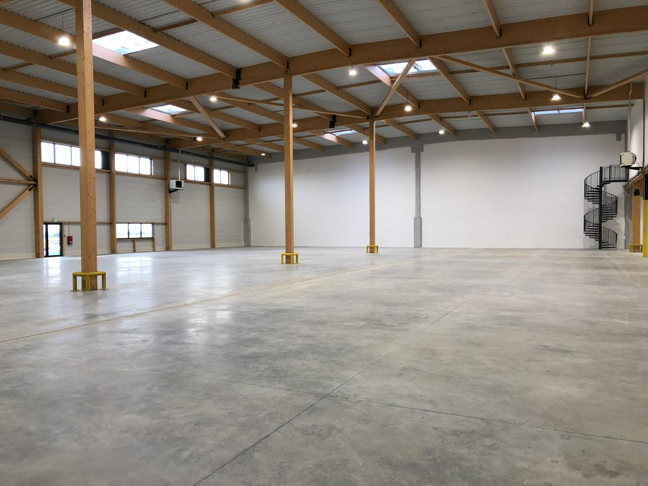 Local d'activité Louvres 2321m² Location local d'activité Louvres Val-d'Oise OLACT2530003 1